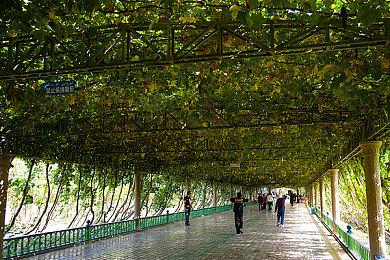 《女神异闻录4：无敌究极后桥背摔》NS版容量超13GB